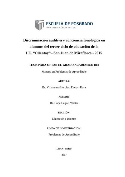 PDF TESIS PARA OPTAR EL GRADO ACADÉMICO DE DOKUMEN TIPS