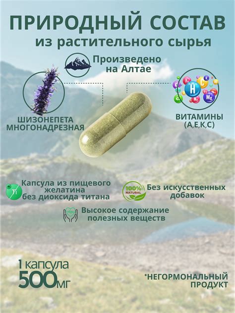 Шизонепета - Магазин Здоровья Naturelika