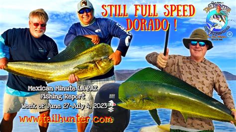 Mexican Minute La Paz Fishing Report From Tailhunter Sportfishing For