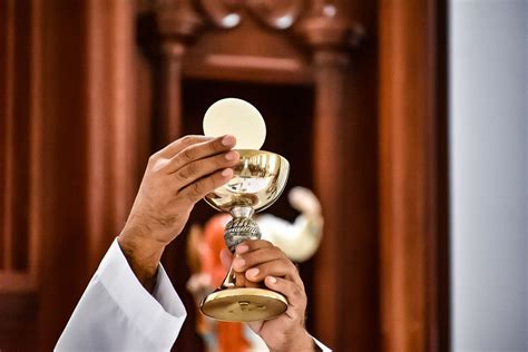 Gallery The Effects Of The Seven Sacraments Catholic Link