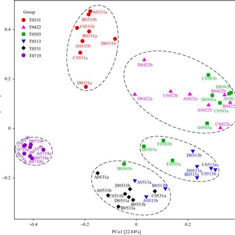 Principal Coordinates Analysis Pcoa Plot On The Bray Curtis Distance