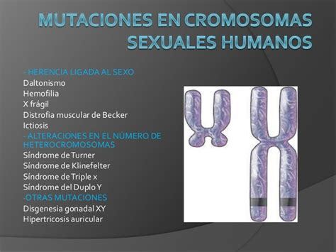 Mutaciones En Cromosomas Sexuales Humanos