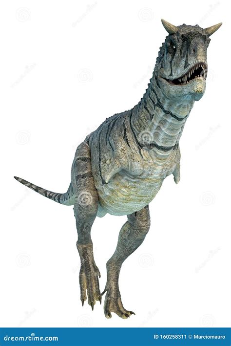 Carnotaurus Sastrei Con Fondo Blanco Stock De Ilustraci N Ilustraci N