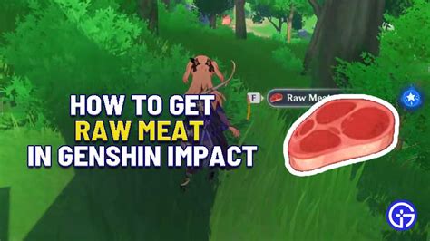 How To Get Raw Meat In Genshin Impact Boar Locations