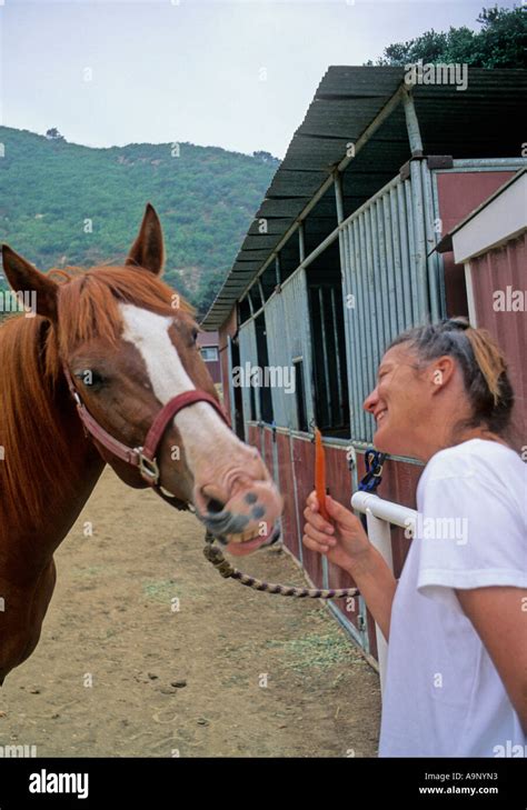 Woman Feeding Horse Carrots Hi Res Stock Photography And Images Alamy