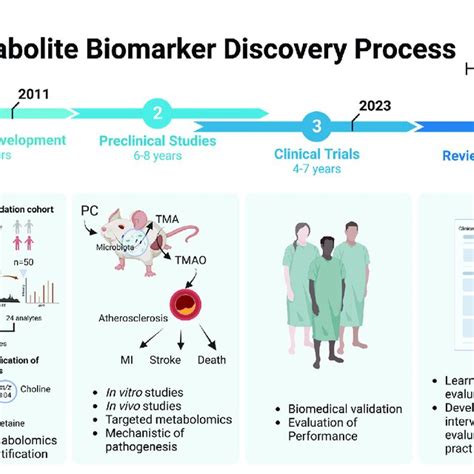 The Metabolite Biomarker Discovery Process For Trimethylamine N Oxyde