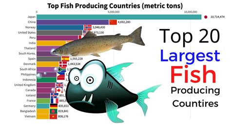 Top 20 Largest Fish Producing Counties 1960 2018 Youtube