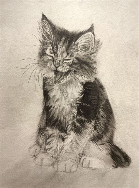 How To Draw A Realistic Warrior Cat