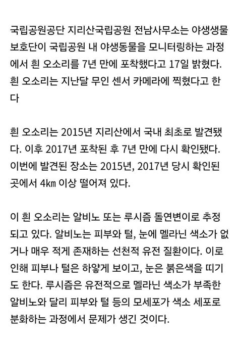 길한 징조라는데 지리산서 7년 만에 포착된 희귀 동물 인스티즈instiz 이슈 카테고리