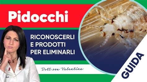 Pidocchi Capelli Come Riconoscerli E Quali Sono I Migliori Prodotti