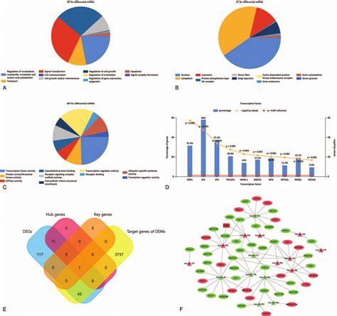 Biological Function Of Differentially Expressed Micrornas Dems Gene