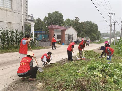 滁州日报多媒体数字报刊—南谯区腰铺镇扎实推进乡村振兴工作纪实