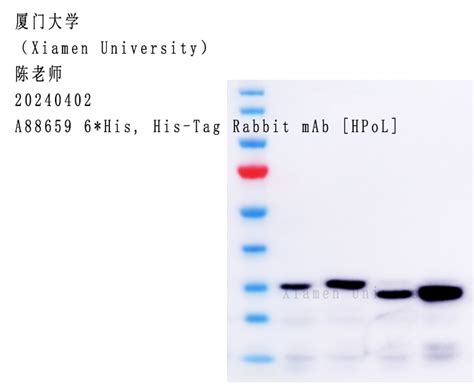 使用Nature Biosciences品牌抗体 Review 持续更新00001 Nature Biosciences kit mAb