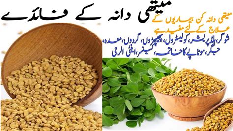 Methi Dana Ky Fayde Fenugreek Seeds Benefits Of Fenugreek Seeds YouTube