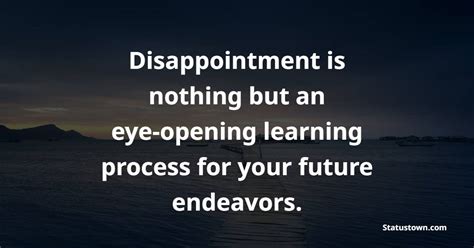 Disappointment Is Nothing But An Eye Opening Learning Process For Your