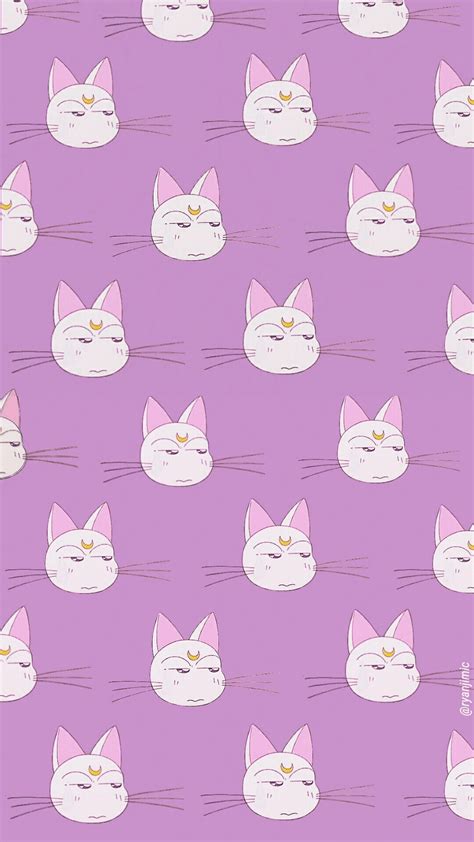 Pink Cat Aesthetic Wallpapers - Top Free Pink Cat Aesthetic Backgrounds ...