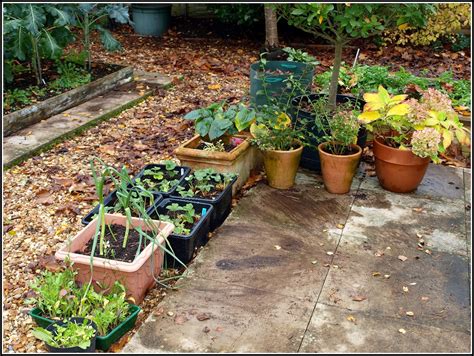 Mark S Veg Plot Tidying Up Clearing Down