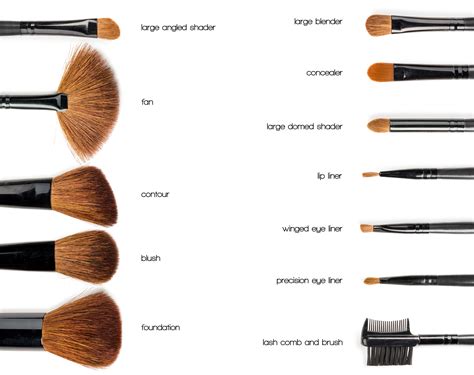 Makeup Brushes And Their Purpose Legacy Teapigs Co Uk