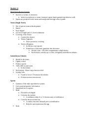 Anat Module Notes Docx Module Male Reproductive System