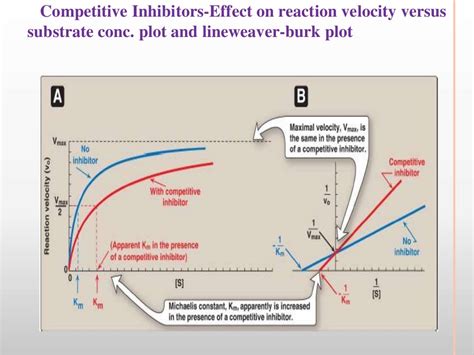 factors Affecting Enzyme activity