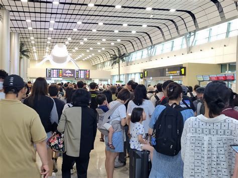 “안개에 한치 앞도 안 보여” 제주공항 또 회항·결항사태 속출 서울pn