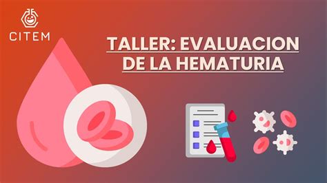 CÓMO ESTUDIAR LOS ERITROCITOS EN ORINA Evaluación de la Hematuria en