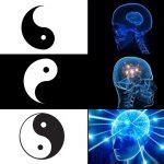 Galaxy Brain Yin Yang Meme Generator Imgflip