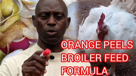 How To Make Broiler Chicken Starter Feed Formula Using Orange Peel And