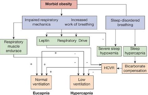 Sleep Related Hypoventilation Syndromes Thoracic Key