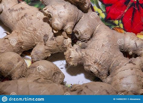 Ra Z De La Especia Del Jengibre Officinale Del Zingiber Imagen De