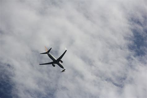 Flugzeuge Vogel Kostenloses Foto Auf Pixabay Pixabay