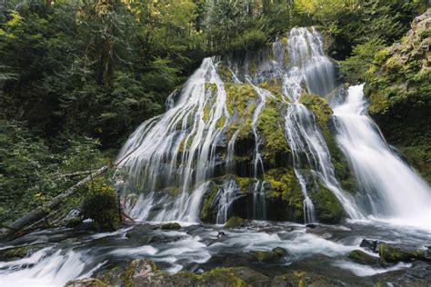 A Forest Paradise at Panther Creek Falls | Aspiring Wild