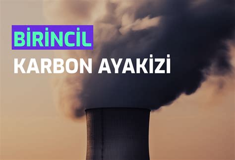 Birincil Karbon Ayak Zi Nedir Semtrio