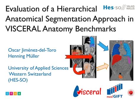 Evaluation Of A Hierarchical Anatomical Segmentation Approach In