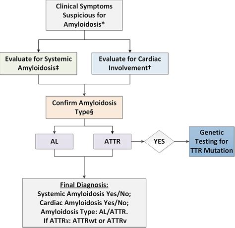 Asnc Aha Ase Eanm Hfsa Isa Scmr Snmmi Expert Consensus Recommendations