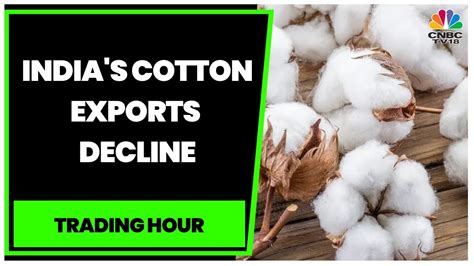 India S Cotton Exports Decline As Global Cotton Prices Soften Trading