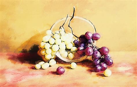 Download Fruit Grapes Still Life Royalty Free Stock Illustration