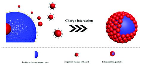 Schematic Diagram Of The Charge Interaction Download Scientific Diagram