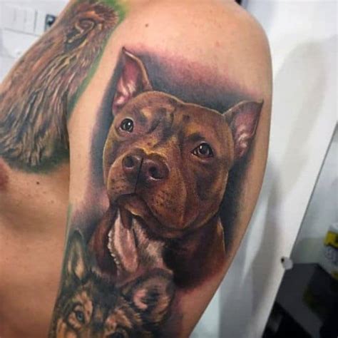 50 Pitbull Tattoo Designs For Men - Dog Ink Ideas