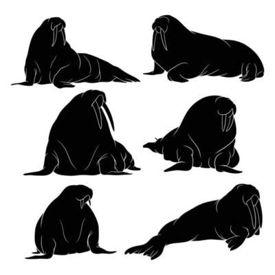 Manatee Silhouette Vector Art, Icons, and Graphics for Free Download