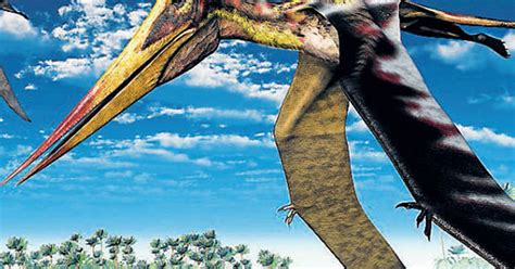 Almost all dinosaurs were feathered