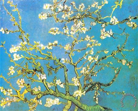 Vincent Van Gogh Blossoming Almond Branches Art Print For Sale