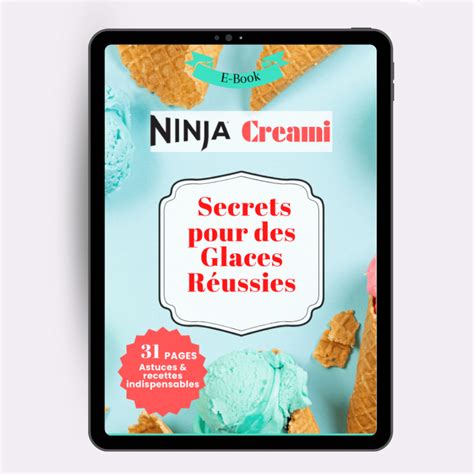 Recette Maison Mc Flurry Avec Ninja Creami Ice Creami