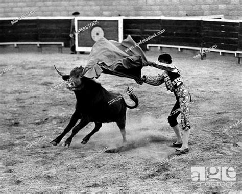 Matador fighting with a bull, Stock Photo, Picture And Rights Managed ...