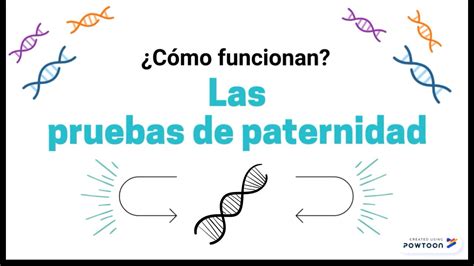 Cómo funcionan las pruebas de paternidad YouTube