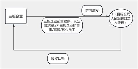 定向增发 流程图模板processon思维导图、流程图