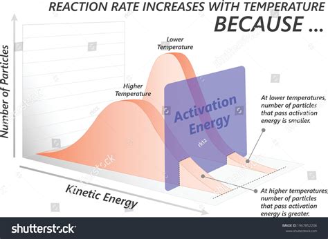 Effect Temperature On Reaction Rate Stock Vector Royalty Free 1967852206 Shutterstock