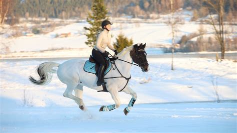 HORSE RIDING TIPS FOR WINTER – Equestroom