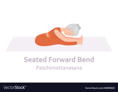 Seated Forward Bend Yoga Pose Paschimottanasana Vector Image