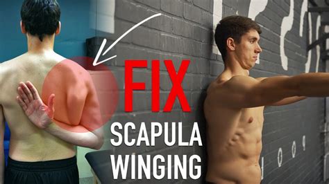 Fix Scapula Winging FULL ROUTINE YouTube